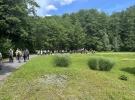 Pohodna kolona