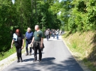 Pohodna kolona